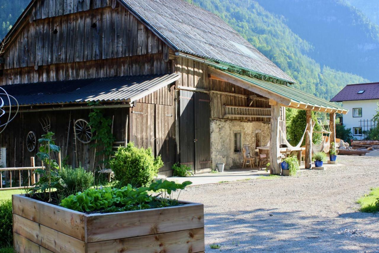 Chalet am Sonnenhang Obertraun Eksteriør bilde